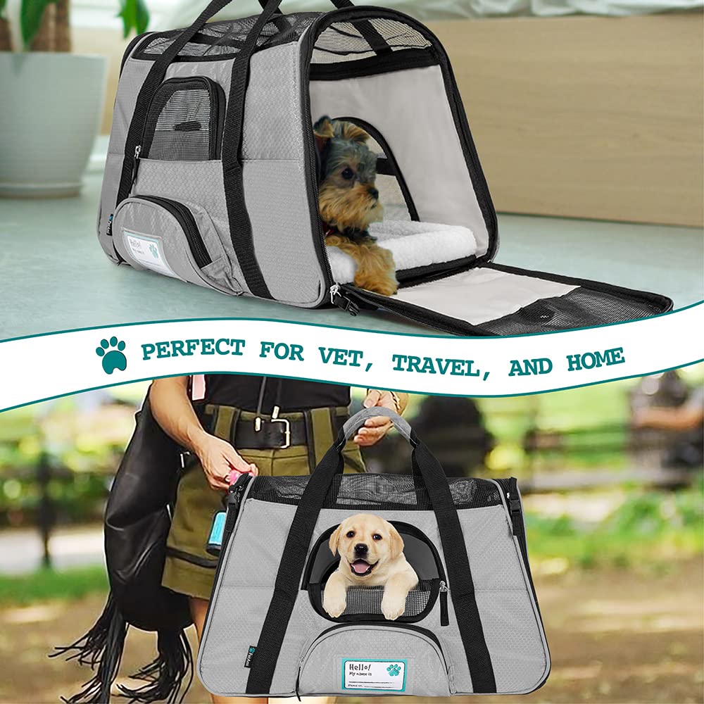 PetAmi front pocket stores ID tag treats and essentials