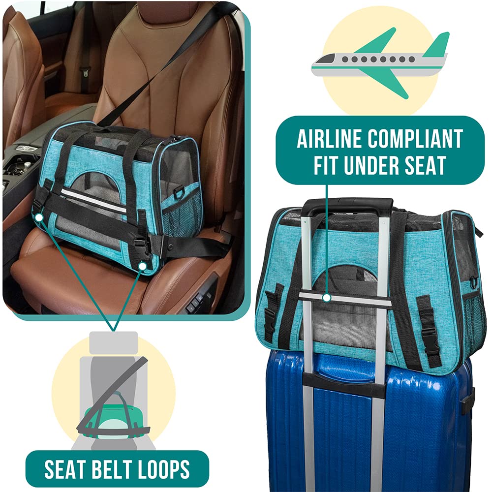 PetAmi front pocket and ID tag keep essentials organized on trips.