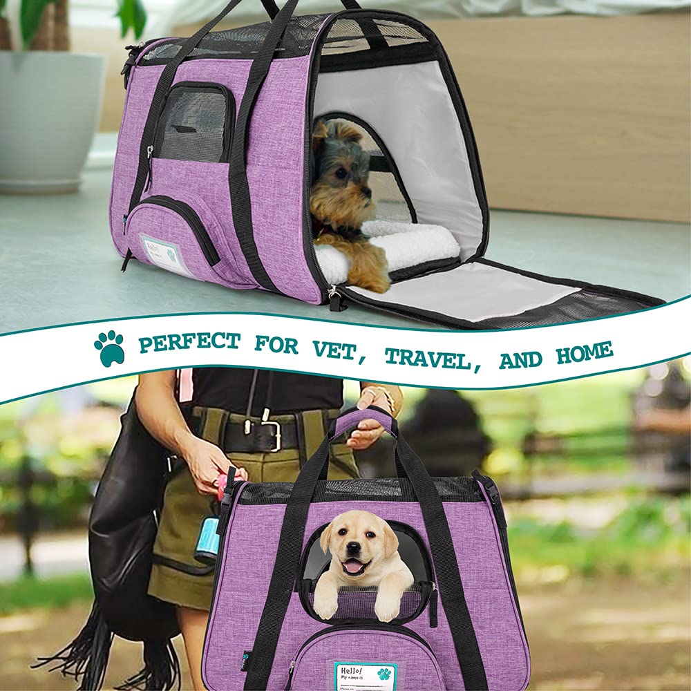 PetAmi carrier front pocket stores treats and essentials for trips.