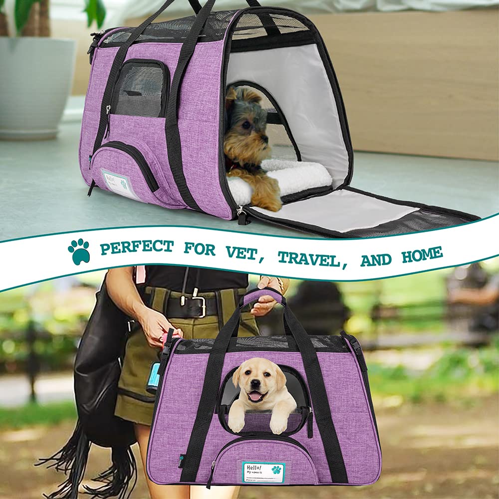 PetAmi front zip pocket stores treats and ID on the go