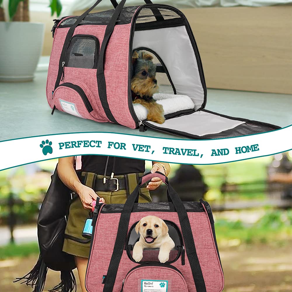 PetAmi included collapsible silicone bowl supports pet hydration on journeys.