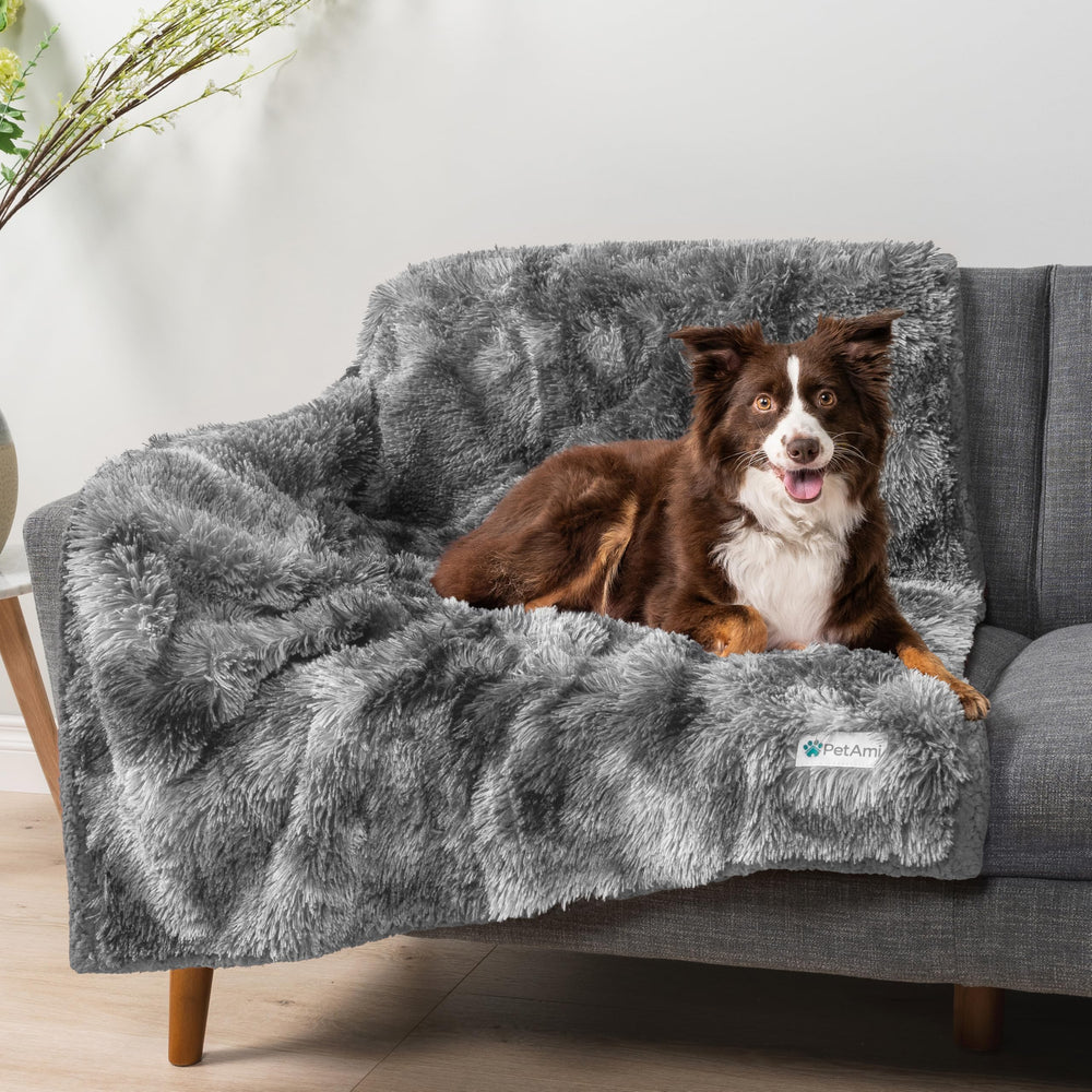 PetAmi large-dog coverage protecting furniture from fur and drool.