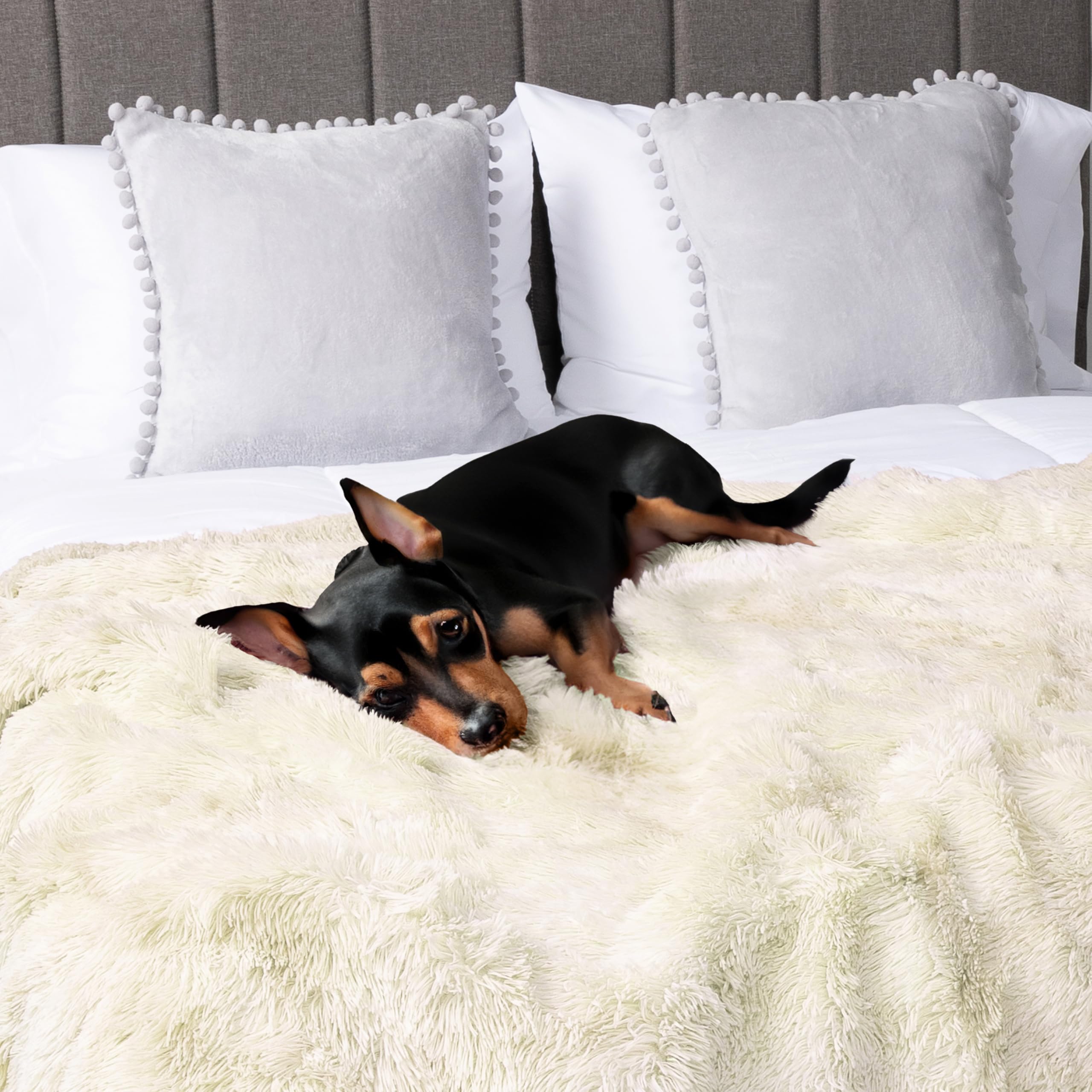 PetAmi large 80x60 blanket fits big dogs for full-body coverage.