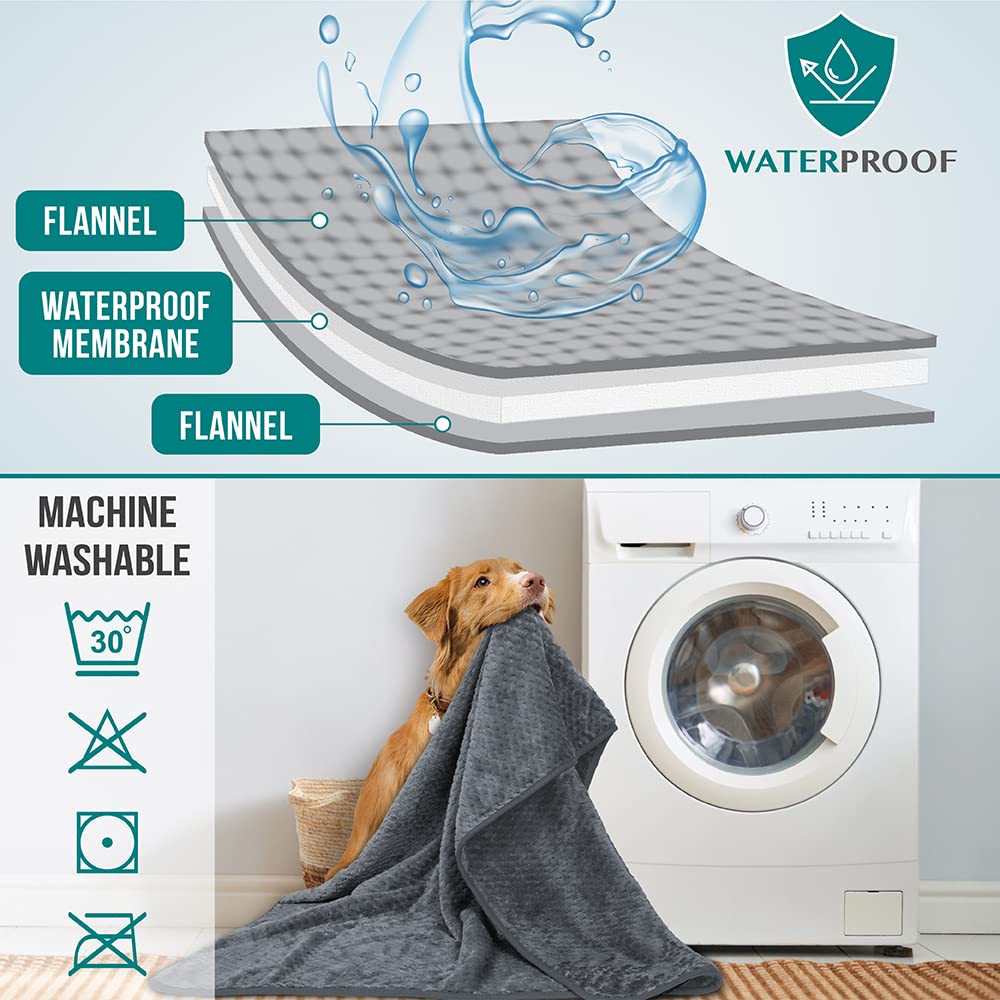 PetAmi machine-washable puppy blanket for quick cleanup after outings.