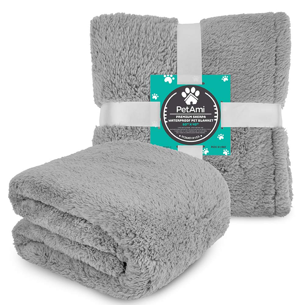 PetAmi outdoor indoor versatility shown on sofa and car seat.