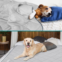 PetAmi premium cooling blanket reversible design shown on sofa for year-round comfort.