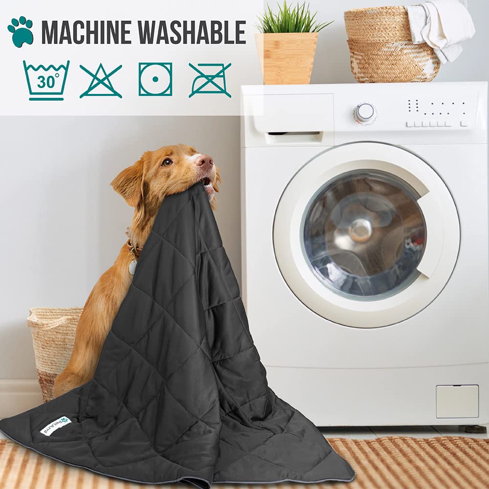 PetAmi cooling blanket protects furniture from fur and scratches