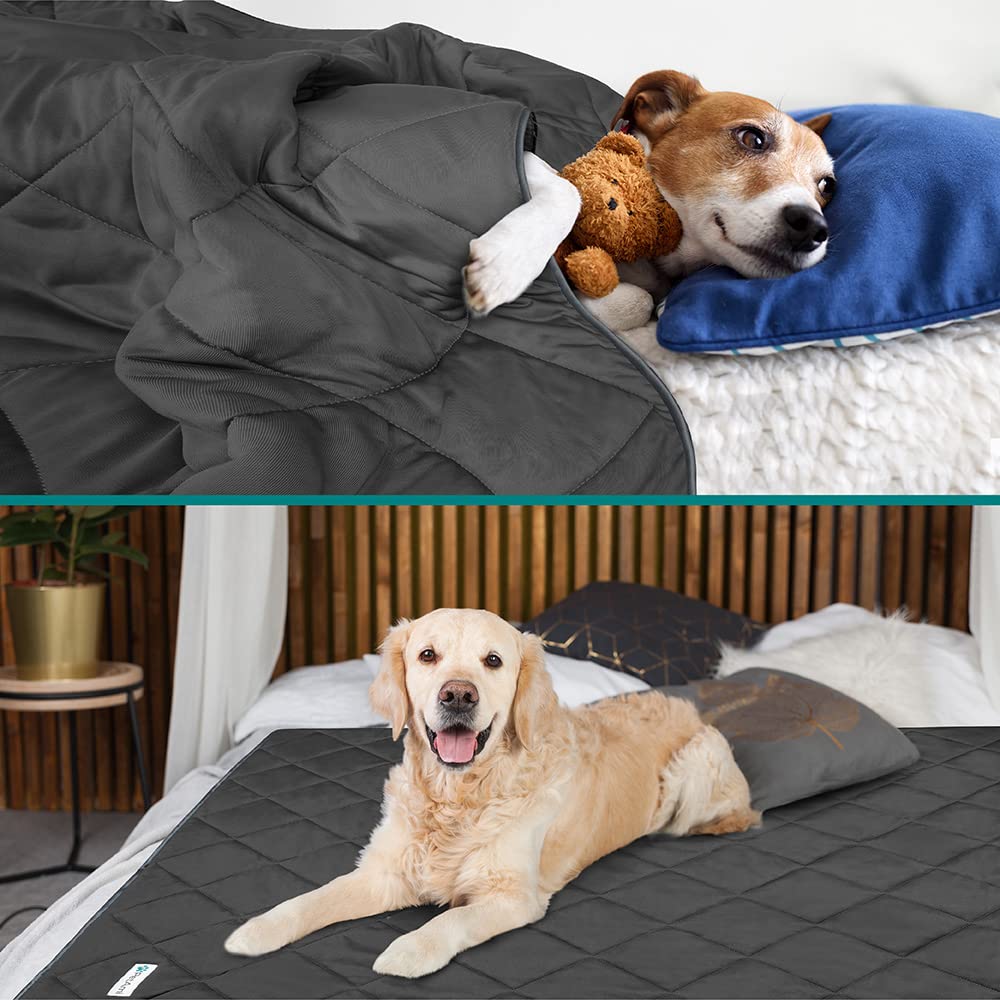 PetAmi premium cooling dog blanket grey on sofa guards furniture from fur