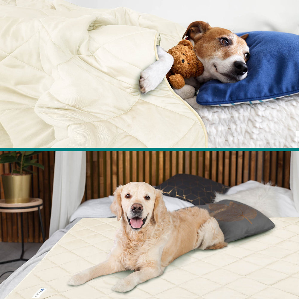 PetAmi Premium Cooling Dog Blanket on couch provides fur protection while pets relax.