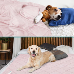 PetAmi premium cooling blanket on sofa demonstrates furniture protection and cozy vibe