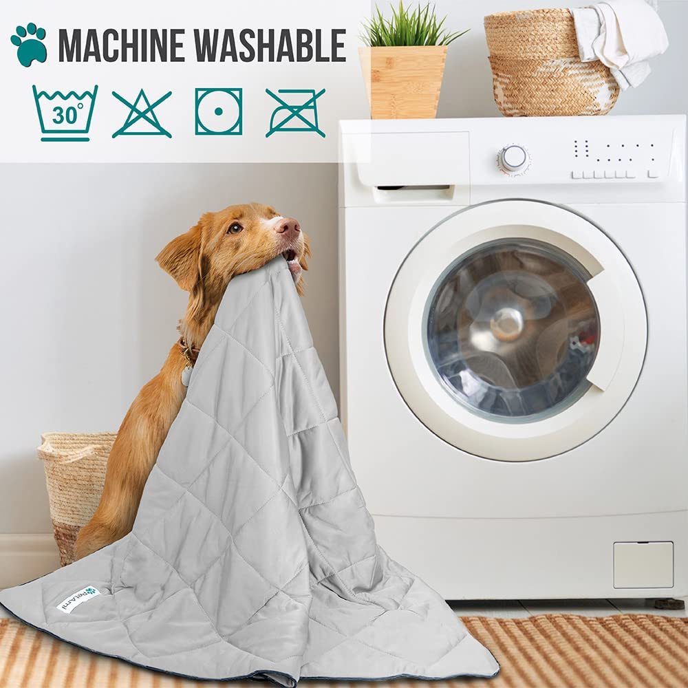 PetAmi Premium Cooling Dog Blanket keeps pets dry and comfortable on sofas