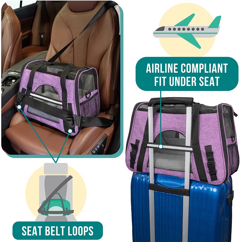 PetAmi reflective trim enhances night visibility during travel