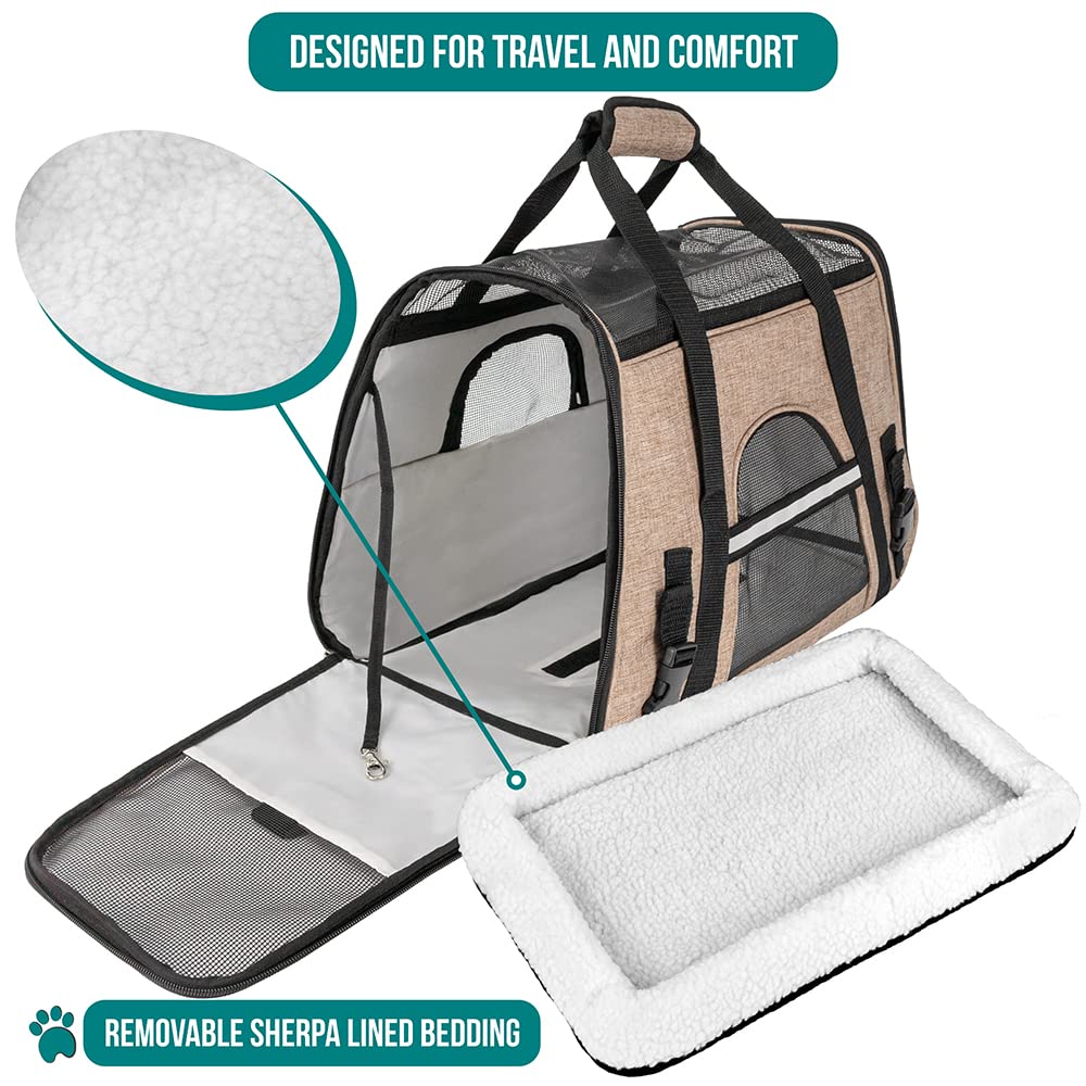 PetAmi reflective trim carrier enhances visibility during evening outings