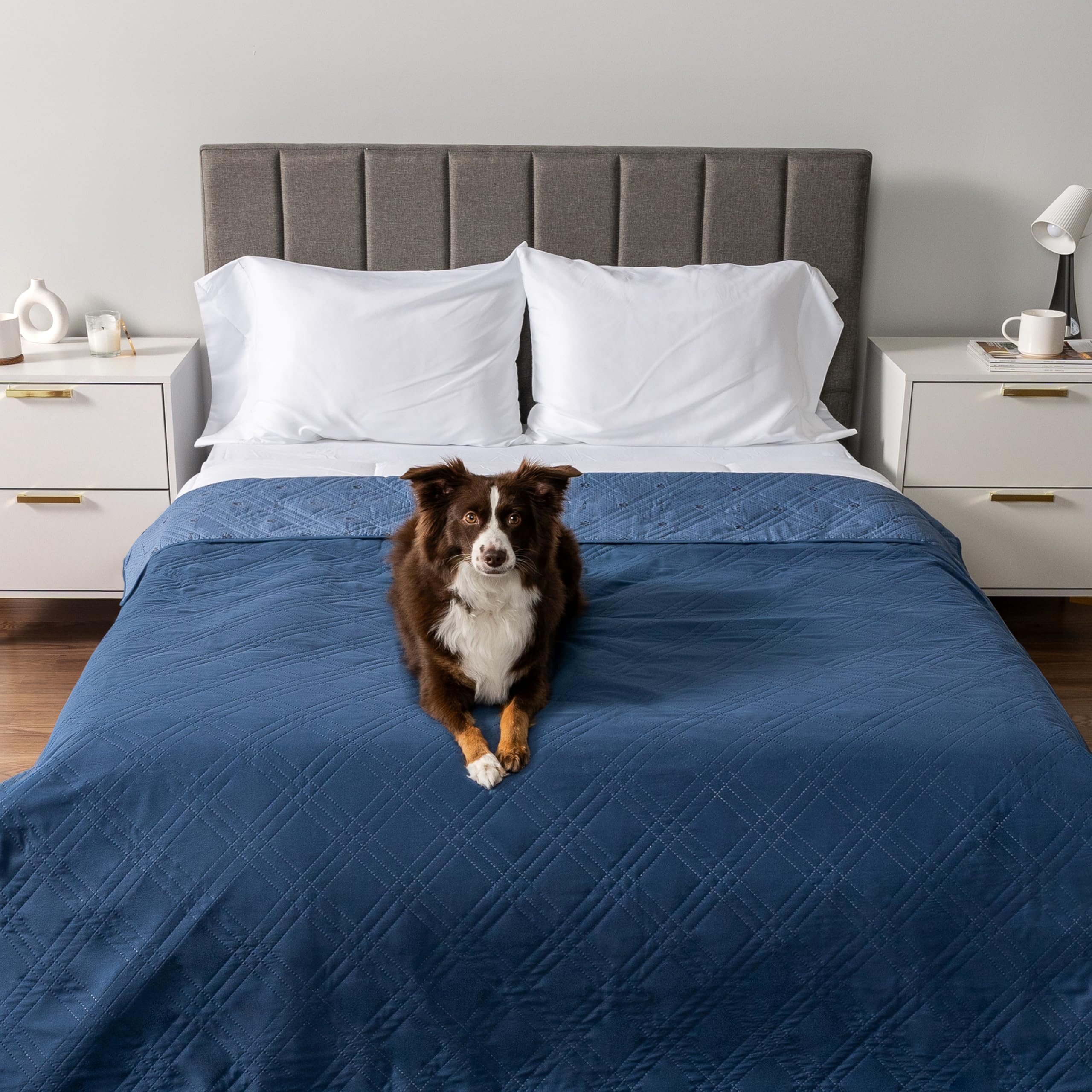 PetAmi reversible pet blanket blue offers dual looks for versatility.