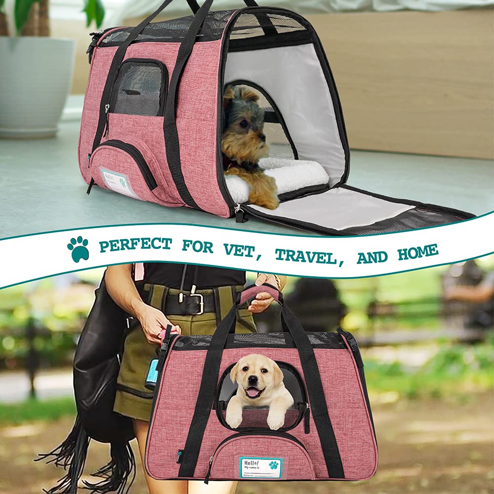 PetAmi safety buckle zippers and harness compatibility help secure a curious pet