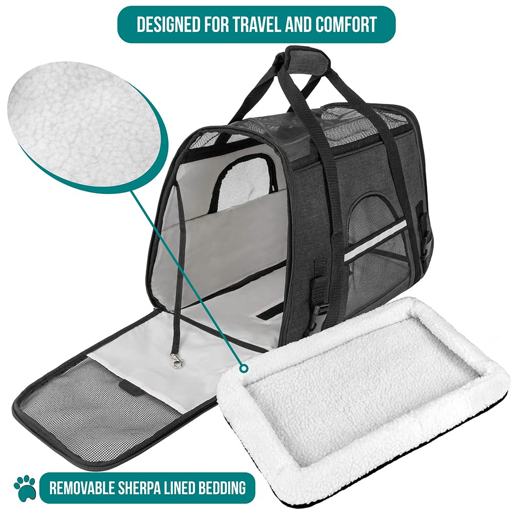 PetAmi carrier with safety buckles and reflective trim for safer outdoor use.
