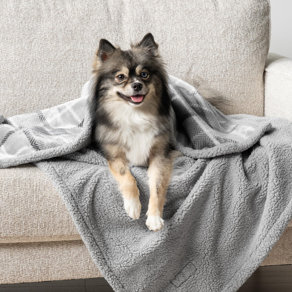 PetAmi sherpa lined plush texture enhances warmth and comfort