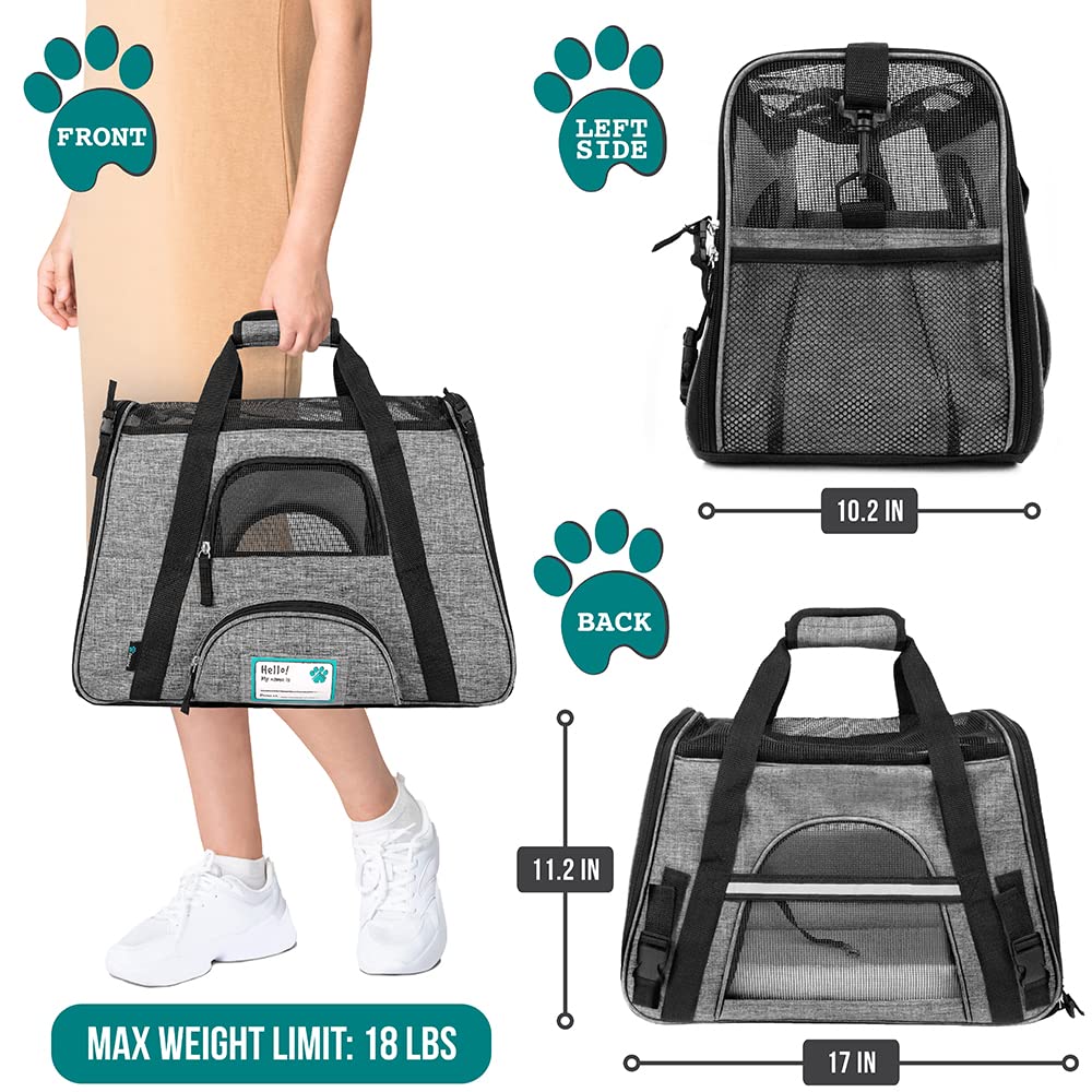 PetAmi soft-sided carrier with ventilated mesh promotes comfortable airflow during trips.