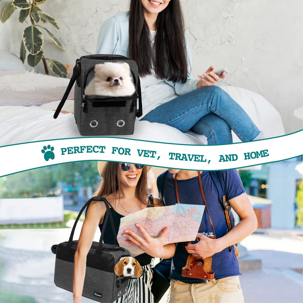PetAmi travel carrier with secure handle strap for easy carrying.