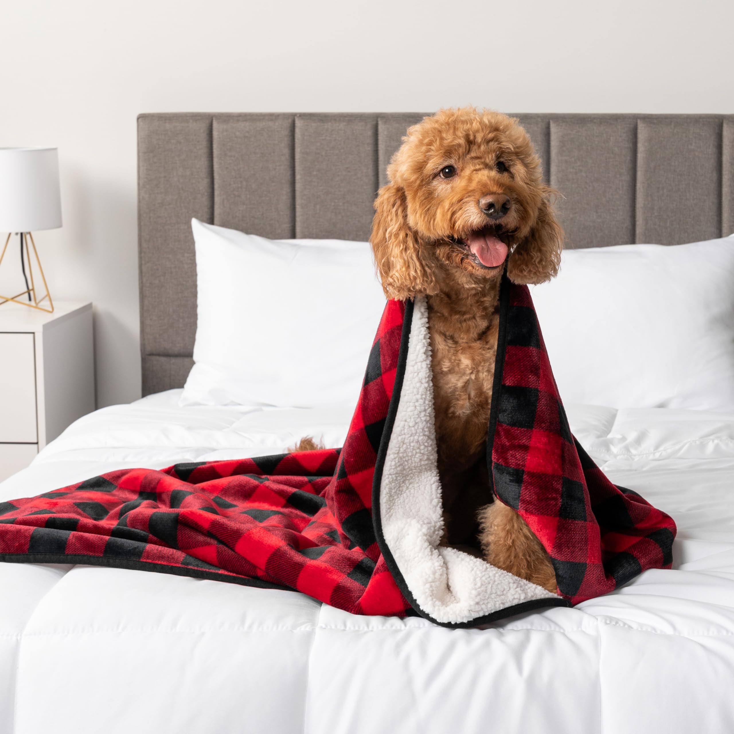 PetAmi travel-friendly blanket compact for on-the-go use