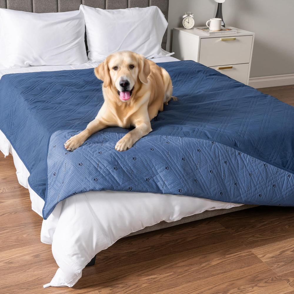 PetAmi waterproof bed cover in blue protects oversized sofas from spills.