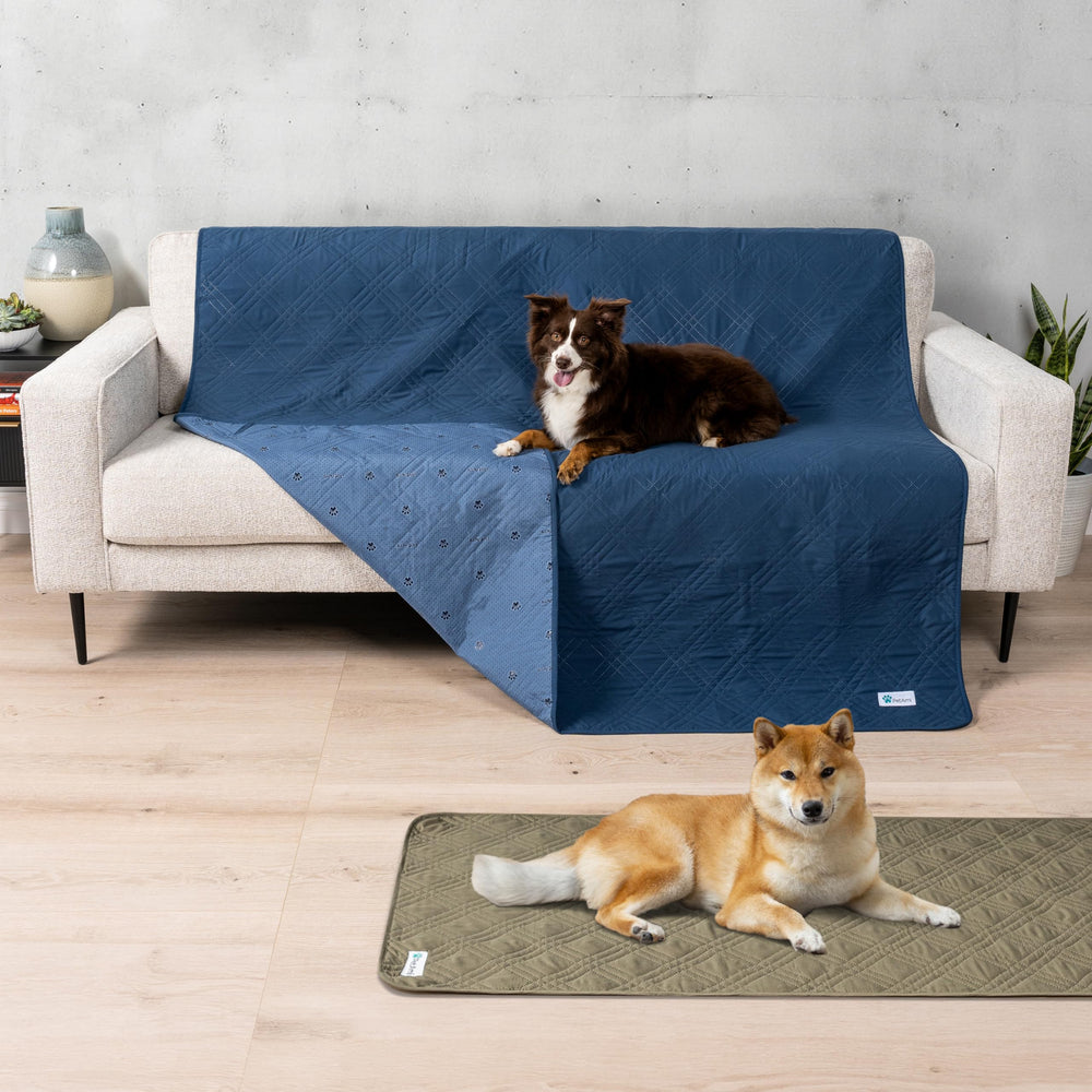 PetAmi waterproof couch cover blue on sofa shows reversible design for versatile protection.