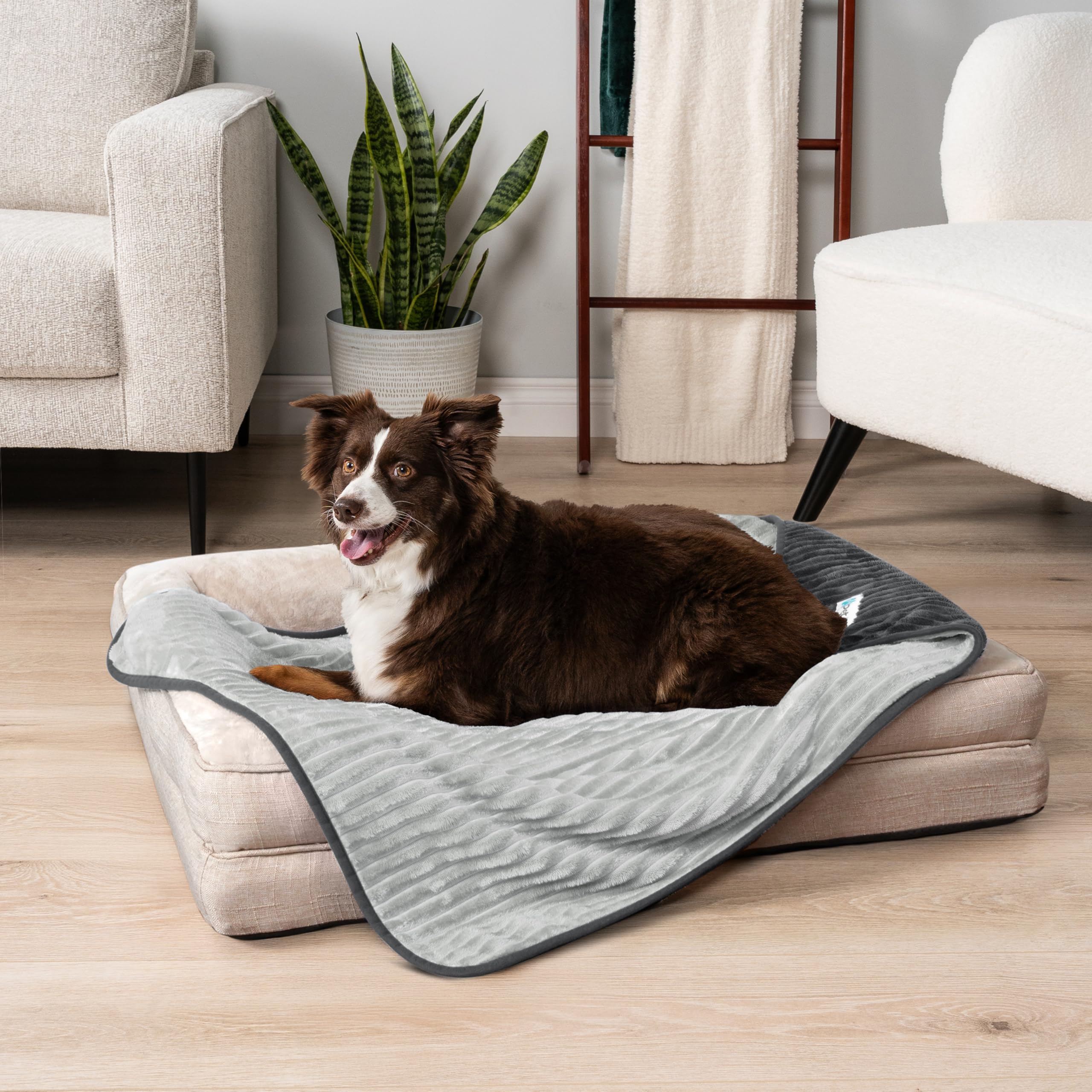 PetAmi 60x80 inch blanket fits large dogs comfortably and covers furniture.