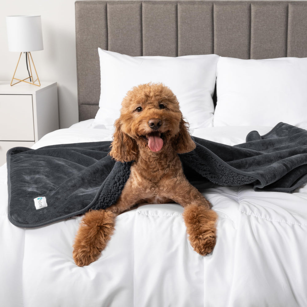 PetAmi blanket with reinforced edge stitching emphasizing durability.