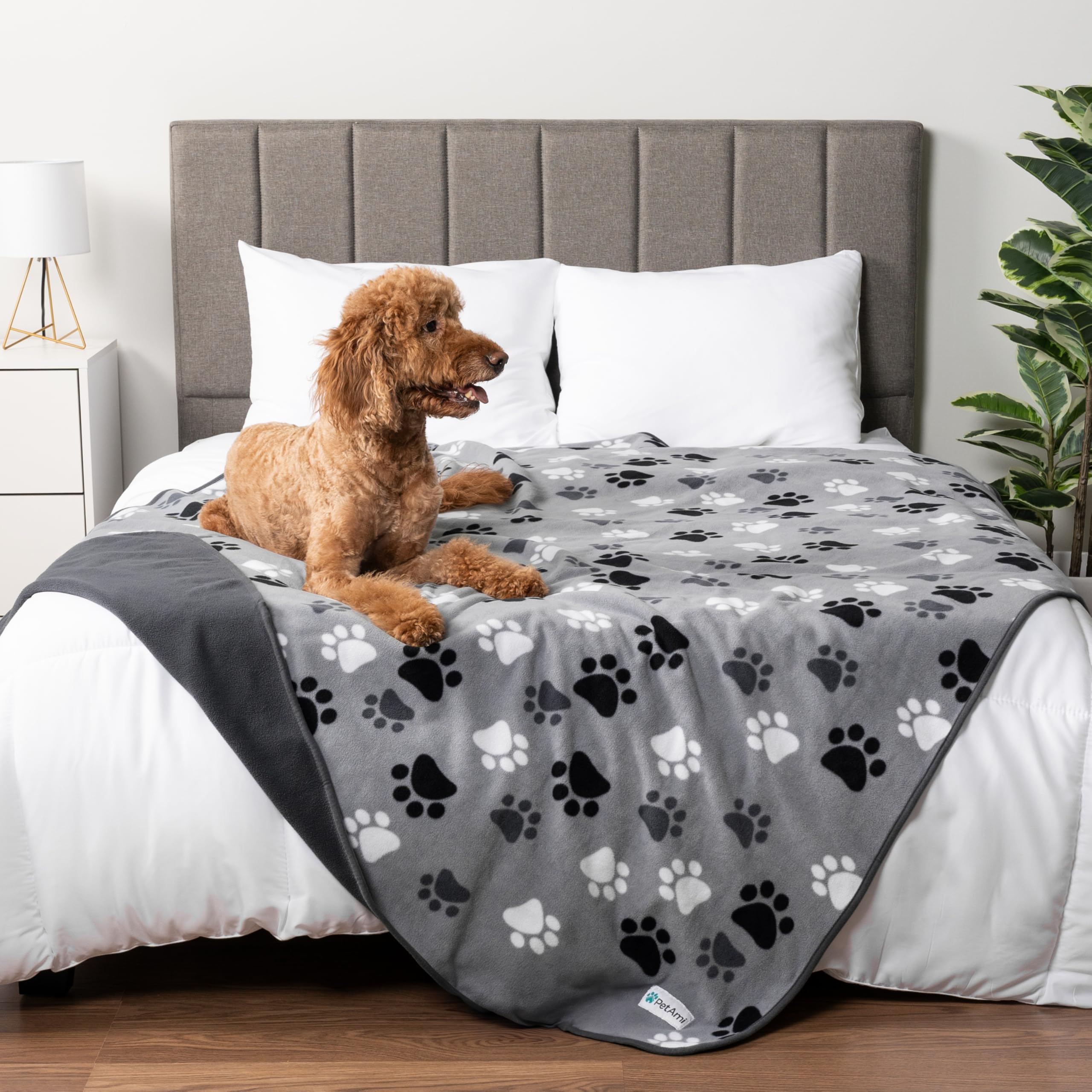 PetAmi large-dog friendly blanket covering a cozy lounging area