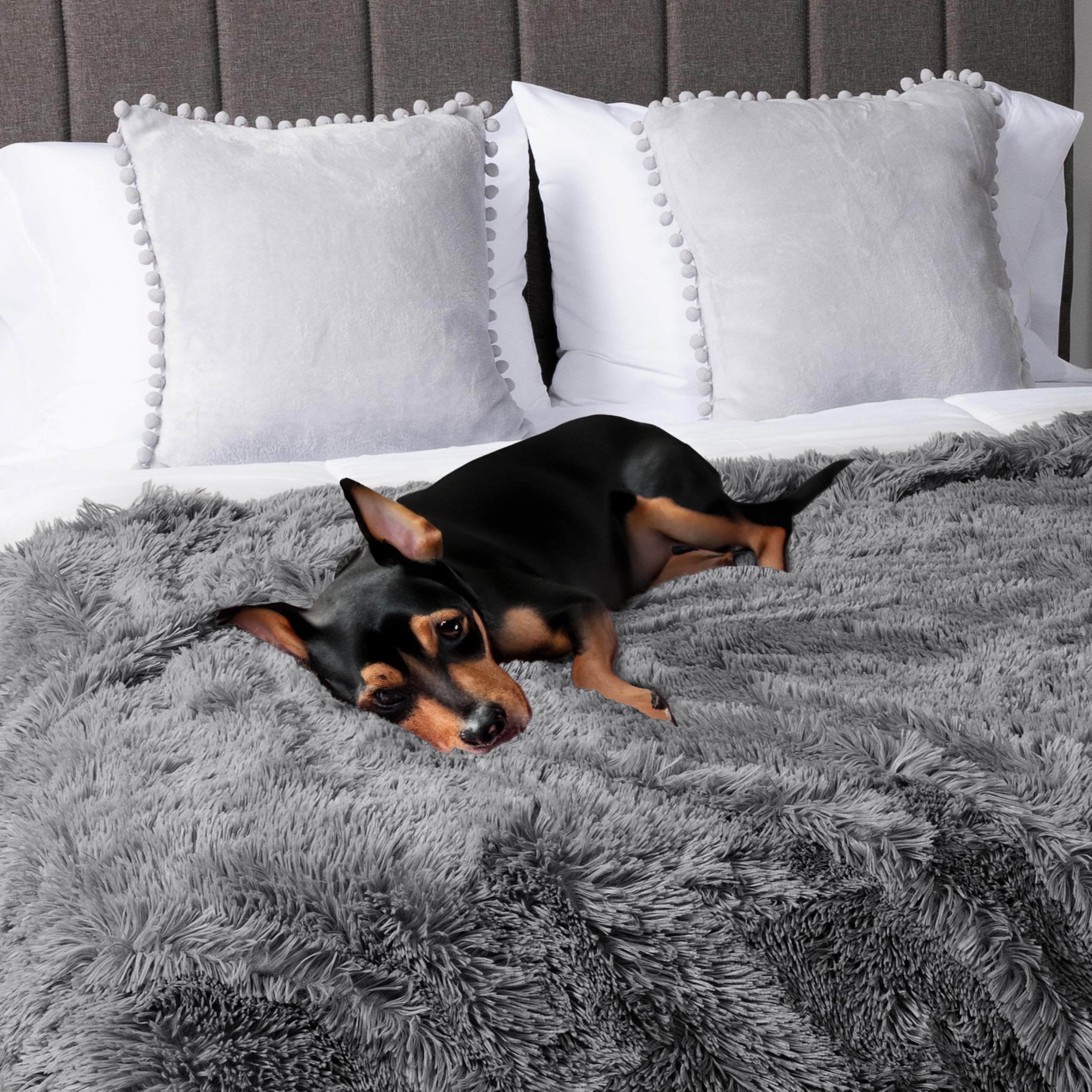 PetAmi waterproof dog blanket machine washable for easy cleaning after adventures.
