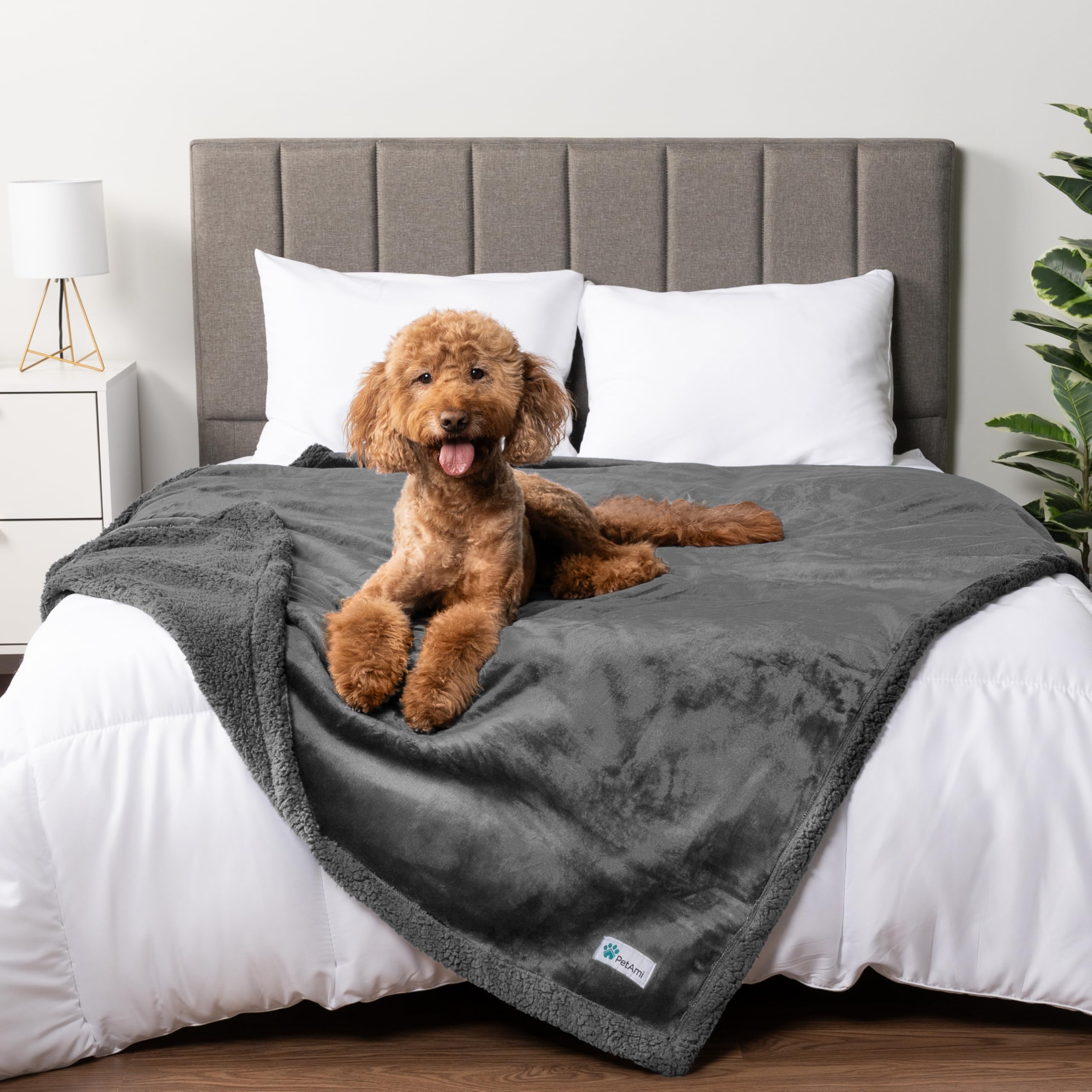 PetAmi reversible design showing dual-sided comfort and style