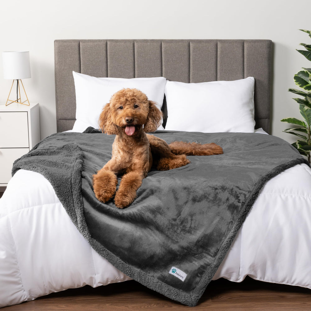 PetAmi reversible design showing dual-sided comfort and style