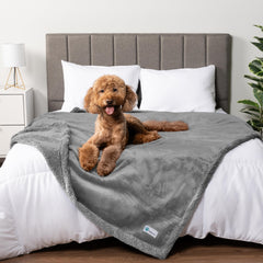 PetAmi waterproof dog blanket on sofa for spill protection and comfort.