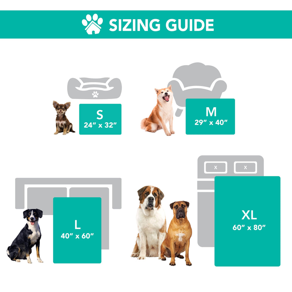 PetAmi protector keeps beds and couches dry during pets' routine use.