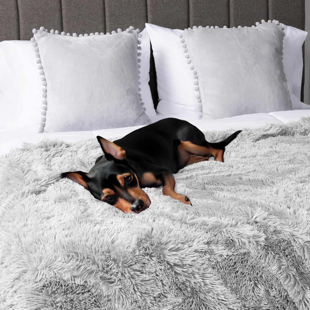 PetAmi travel-friendly blanket suitable for car and hotel stays