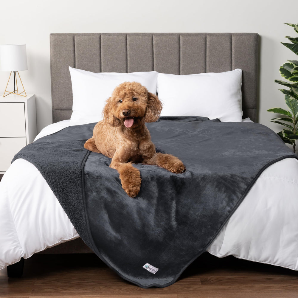PetAmi travel use blanket protecting seats during road trips.