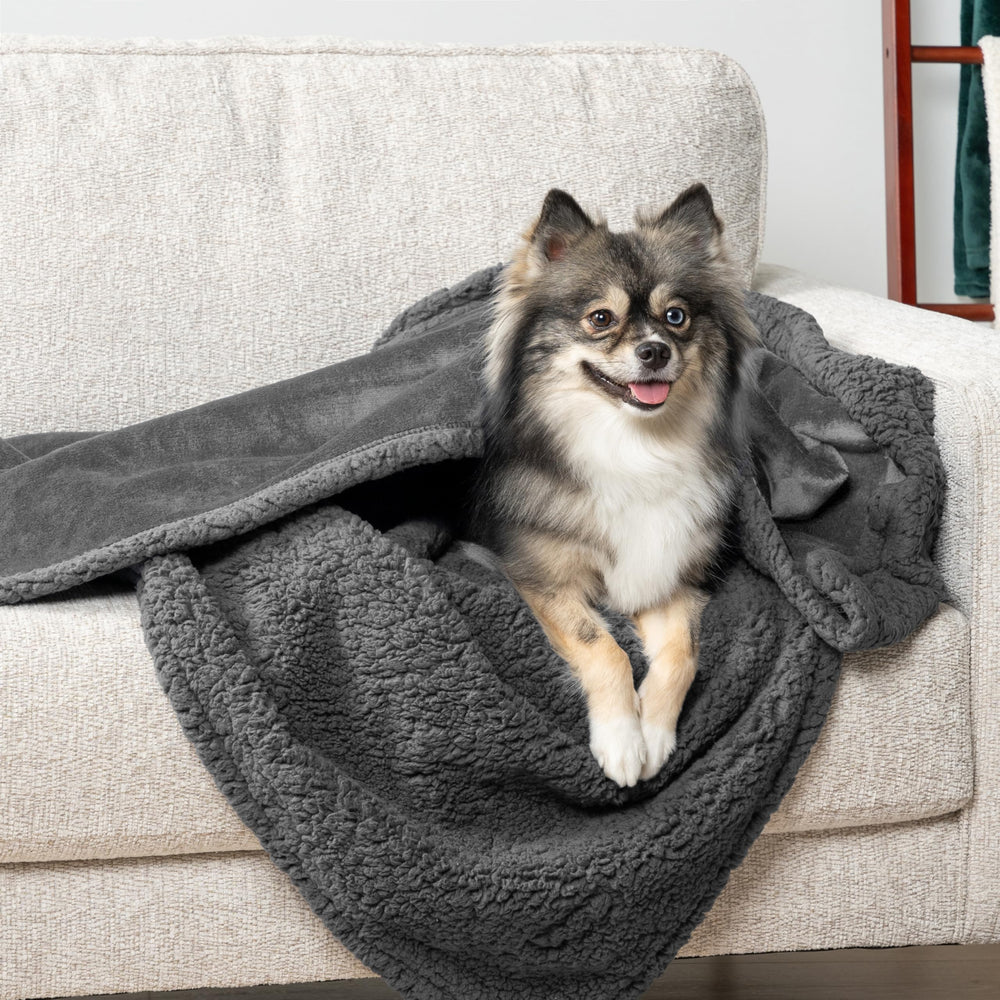 PetAmi waterproof blanket blocks urine from reaching couches and beds.