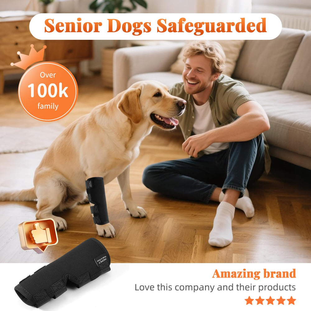 Petanims dog front leg brace in use during playtime supports joint stability.