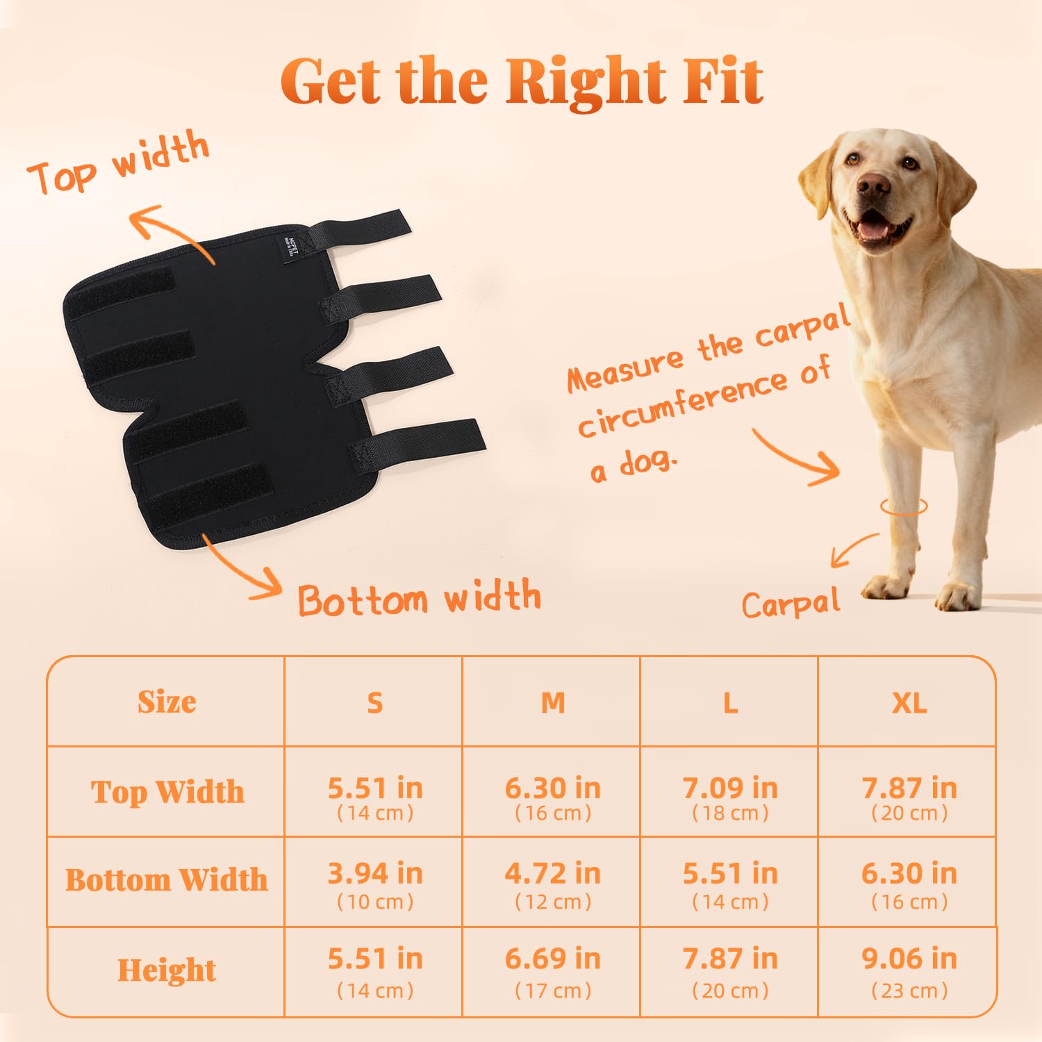 Petanims dog front leg brace adjustable strap enables secure, customizable fit.