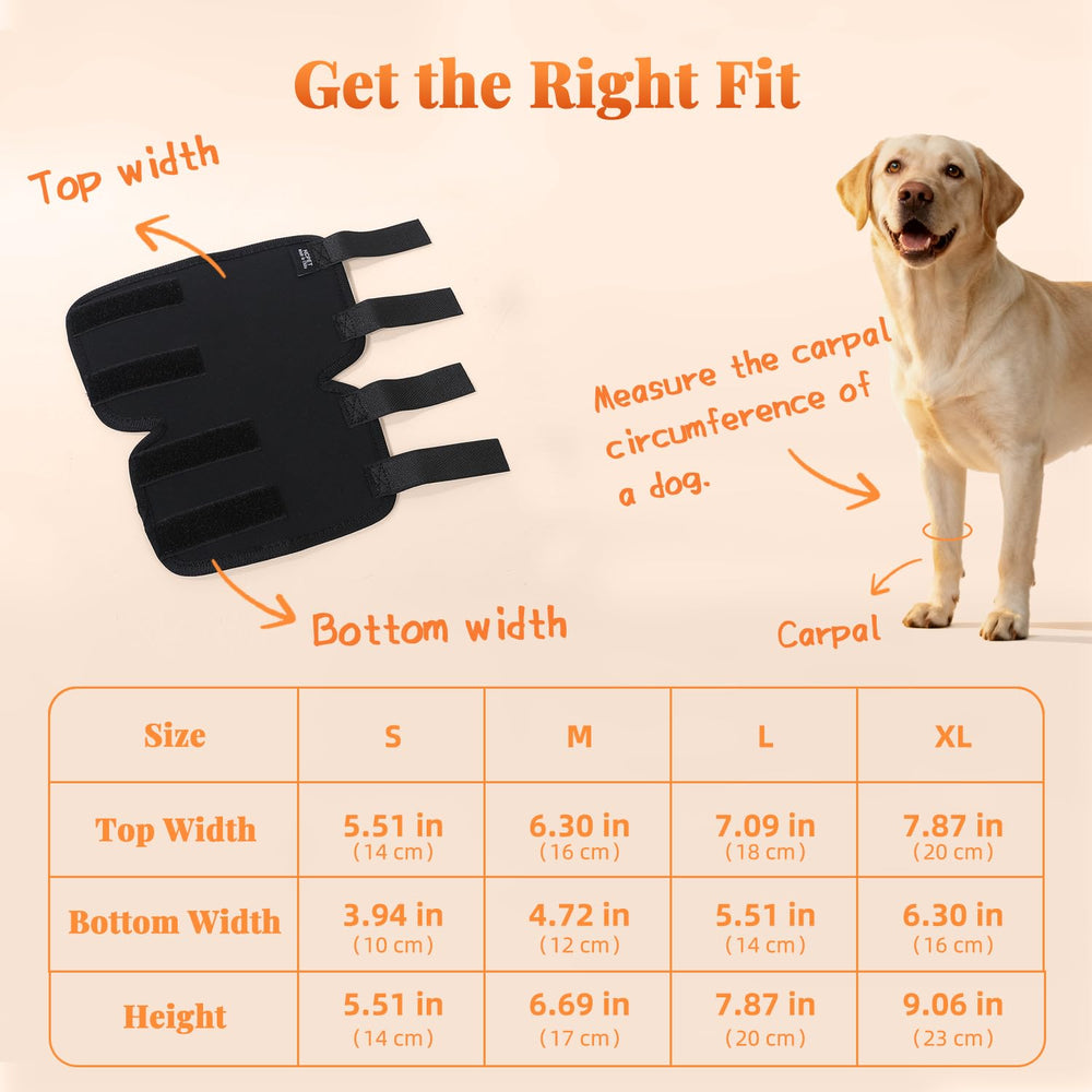 Petanims dog front leg brace adjustable strap enables secure, customizable fit.