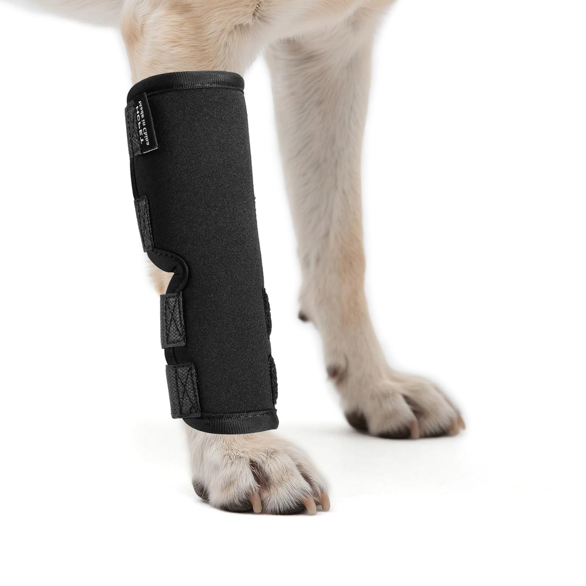 Petanims dog front leg brace closeup highlighting breathable wrap for comfort during wear.