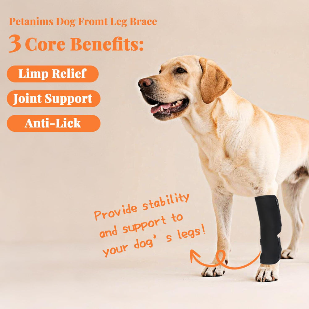 Petanims dog front leg brace non-slip wrap prevents shifting during activity.
