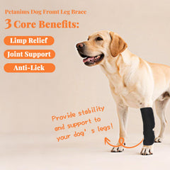 Petanims dog front leg brace non-slip wrap prevents shifting during activity.