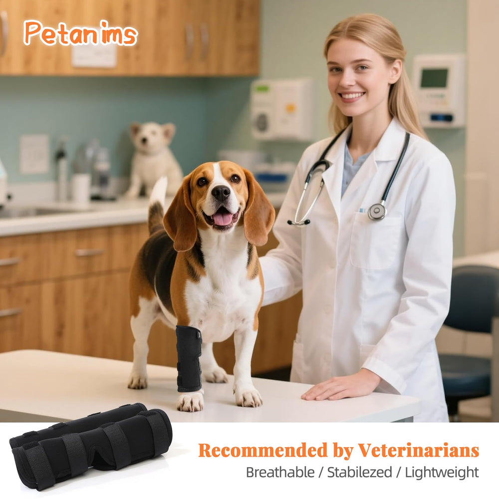 Petanims dog front leg brace fits left or right legs for versatile use.