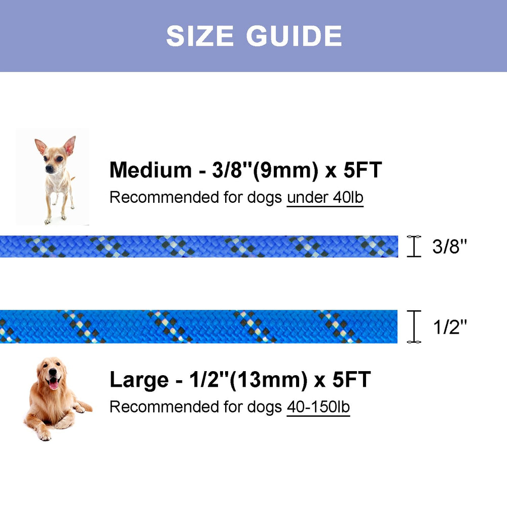 Petarea slip lead 3/8 inch suited for puppies and small dogs.