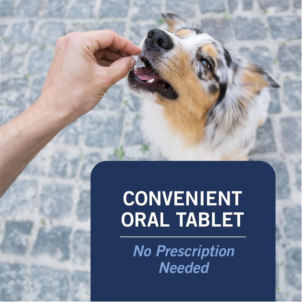 PetArmor CAPACTION tablet for small dogs 2-25 lbs