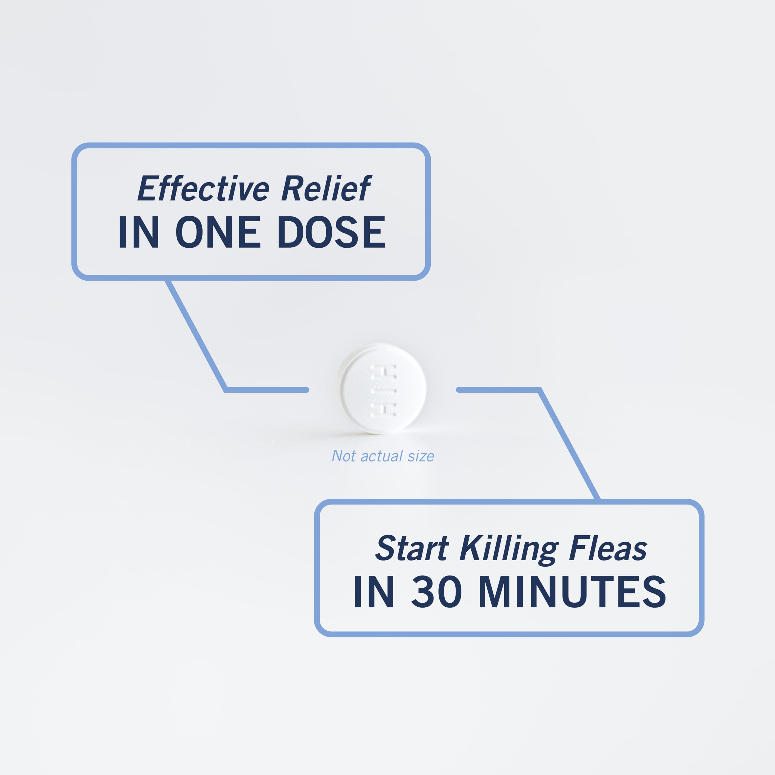 PetArmor CAPACTION reduces fleas within four hours