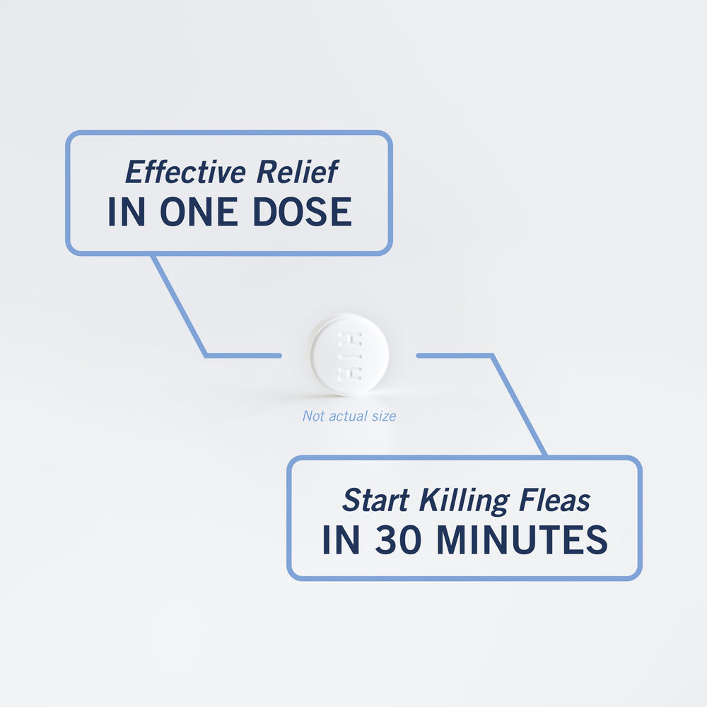 PetArmor CAPACTION reduces fleas within four hours