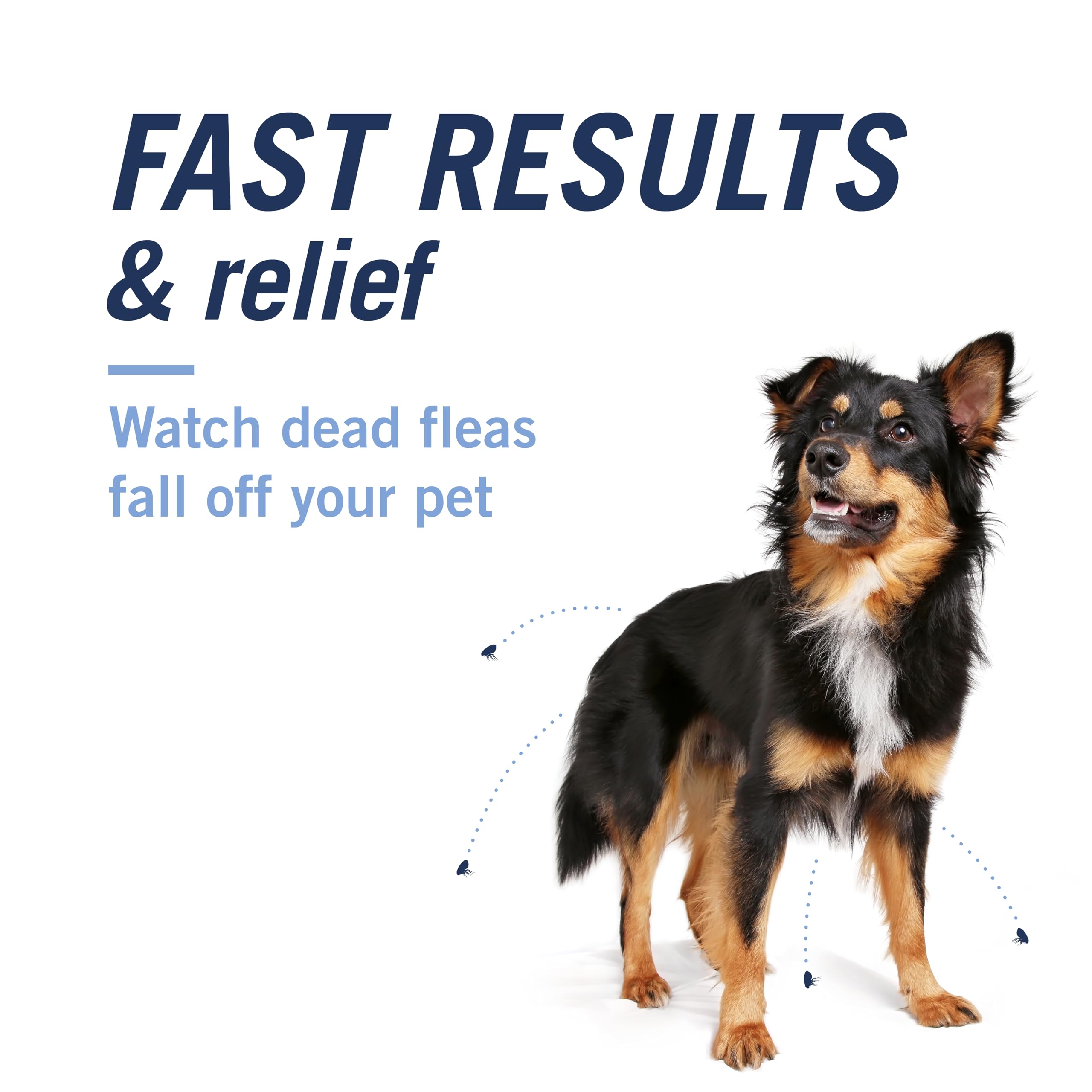 PetArmor CAPACTION starts killing fleas within 30 minutes