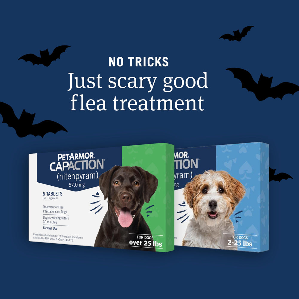 PetArmor CAPACTION six-dose pack for small dogs